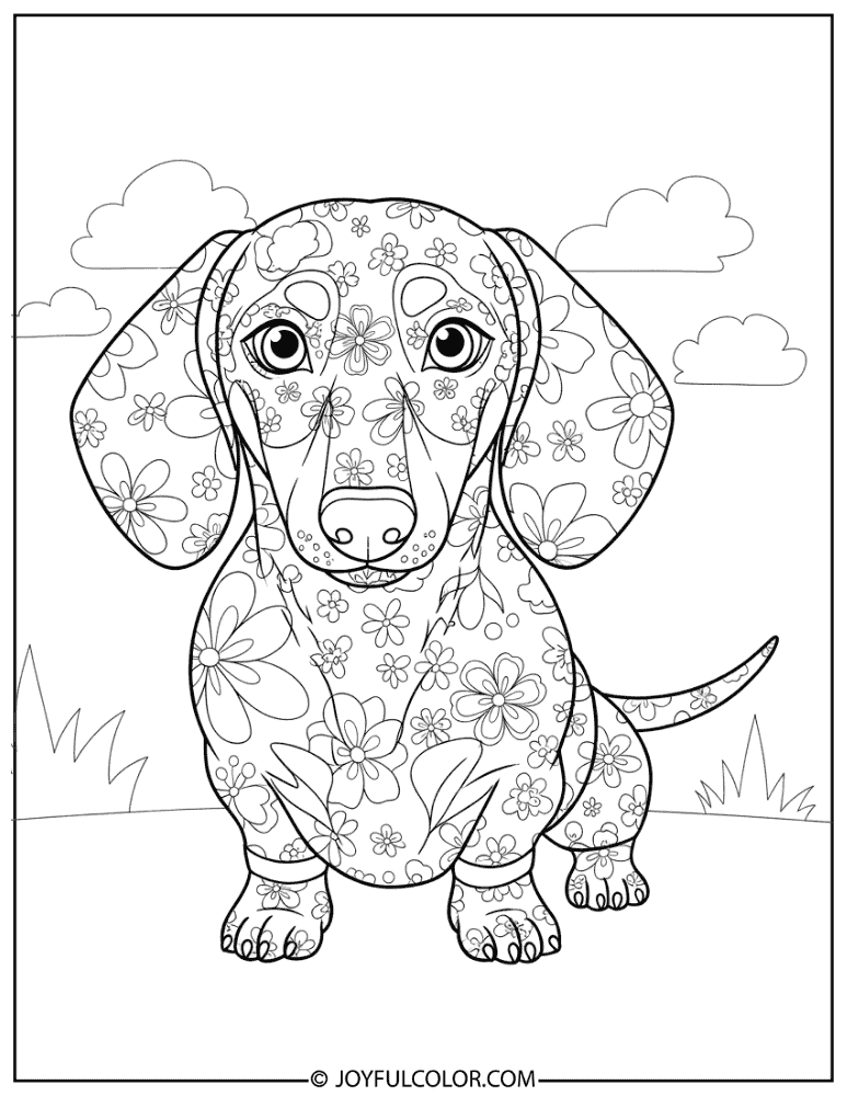 Floral Pattern Dachshund Coloring Page