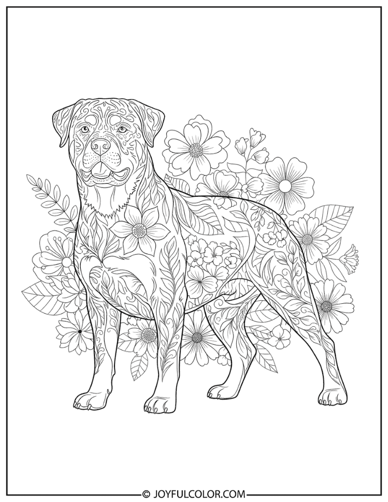Floral Pattern Rottweiler Coloring Page
