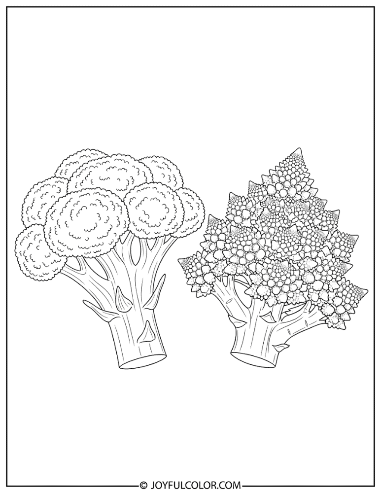 Fractal Romanesco Broccoli Coloring Page