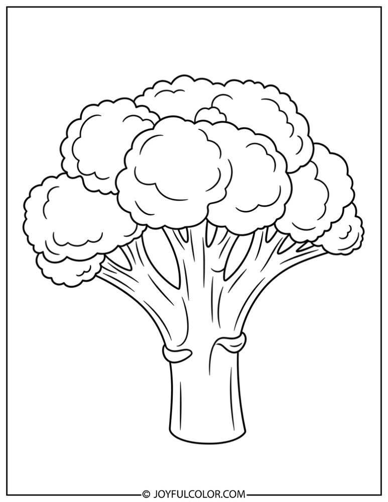 Fresh Broccoli Head Coloring Page