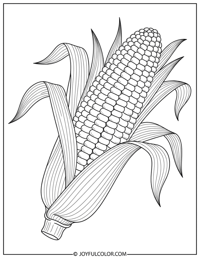 Fresh Corn with Leaves Coloring Page
