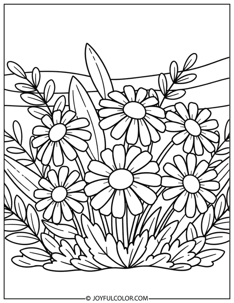Garden Daisy Flower Coloring Page