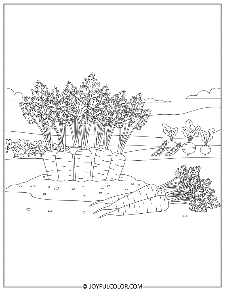 Garden Harvest Carrot Scene Coloring Page