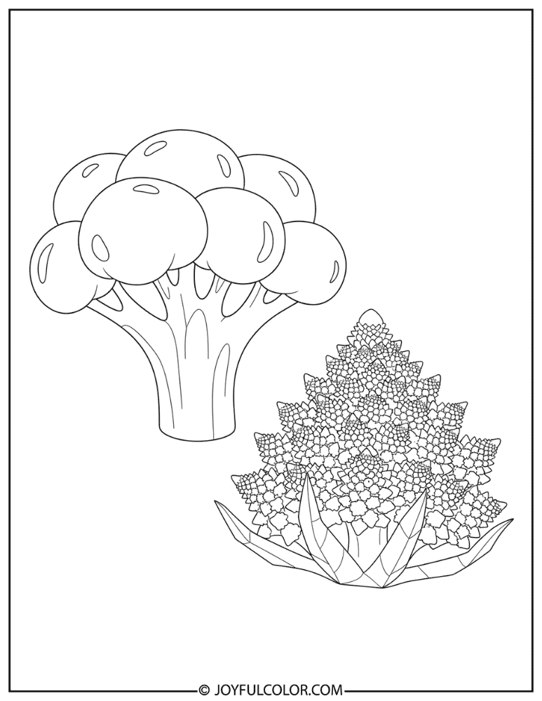 Geometric Romanesco Broccoli Coloring Page