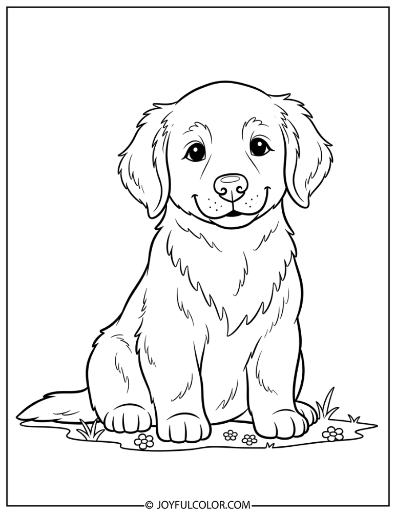 Golden Retriever Puppy Coloring Page