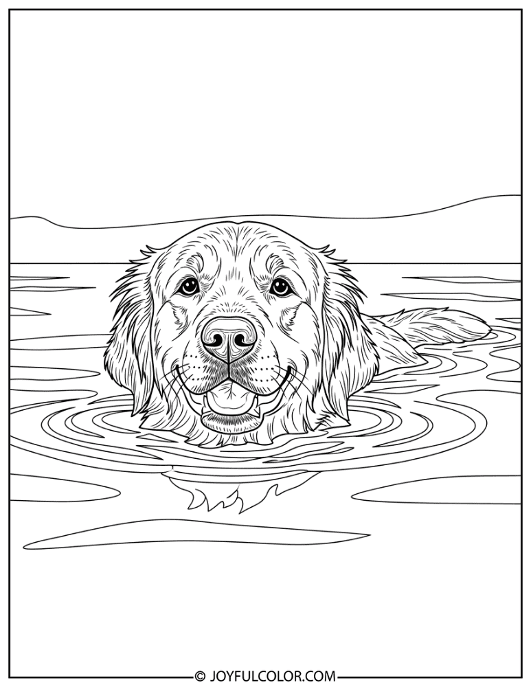 Golden Retriever Swimming Coloring Page