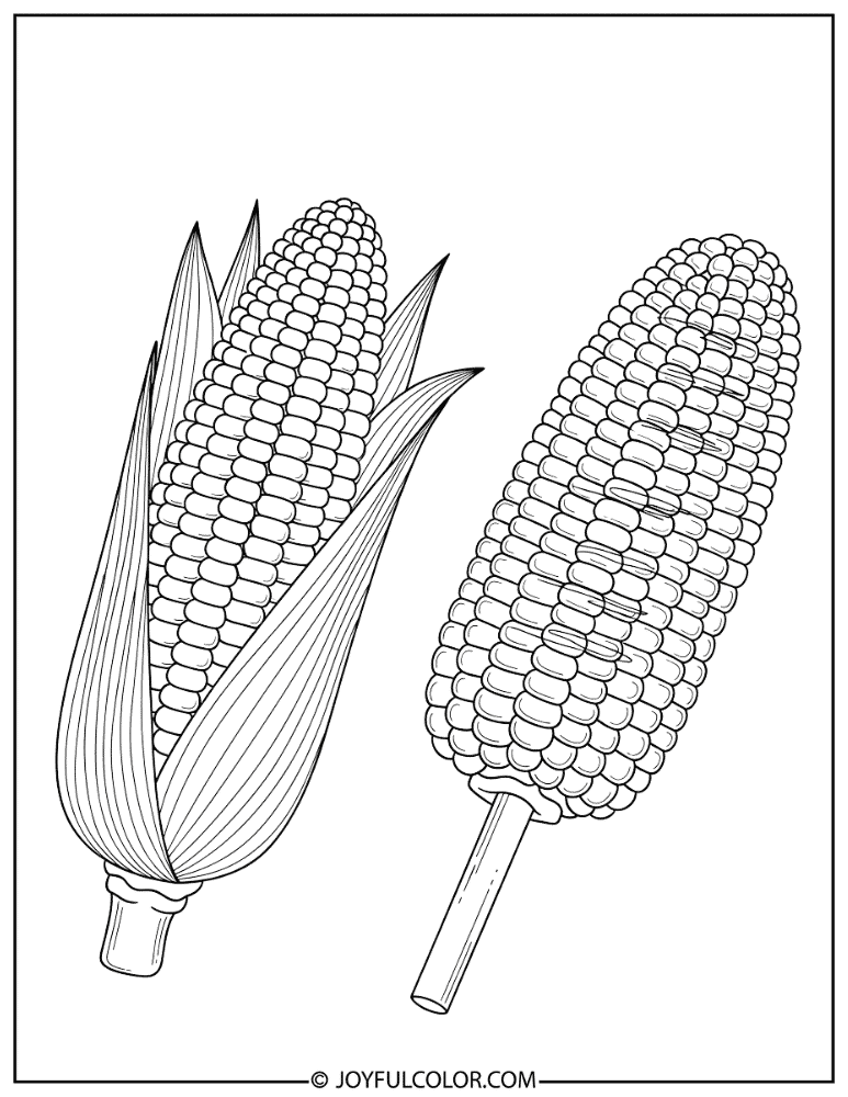 Grilled Corn Coloring Page