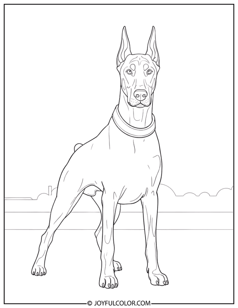 Guard Stance Doberman Coloring Page