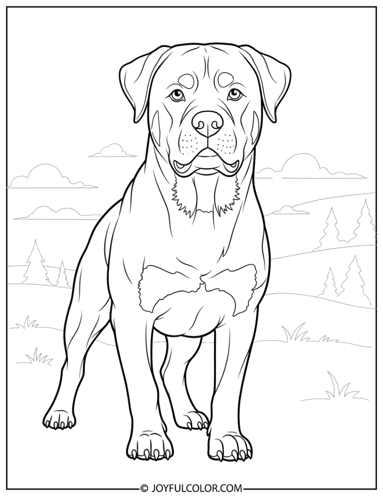 Guard Stance Rottweiler Coloring Page
