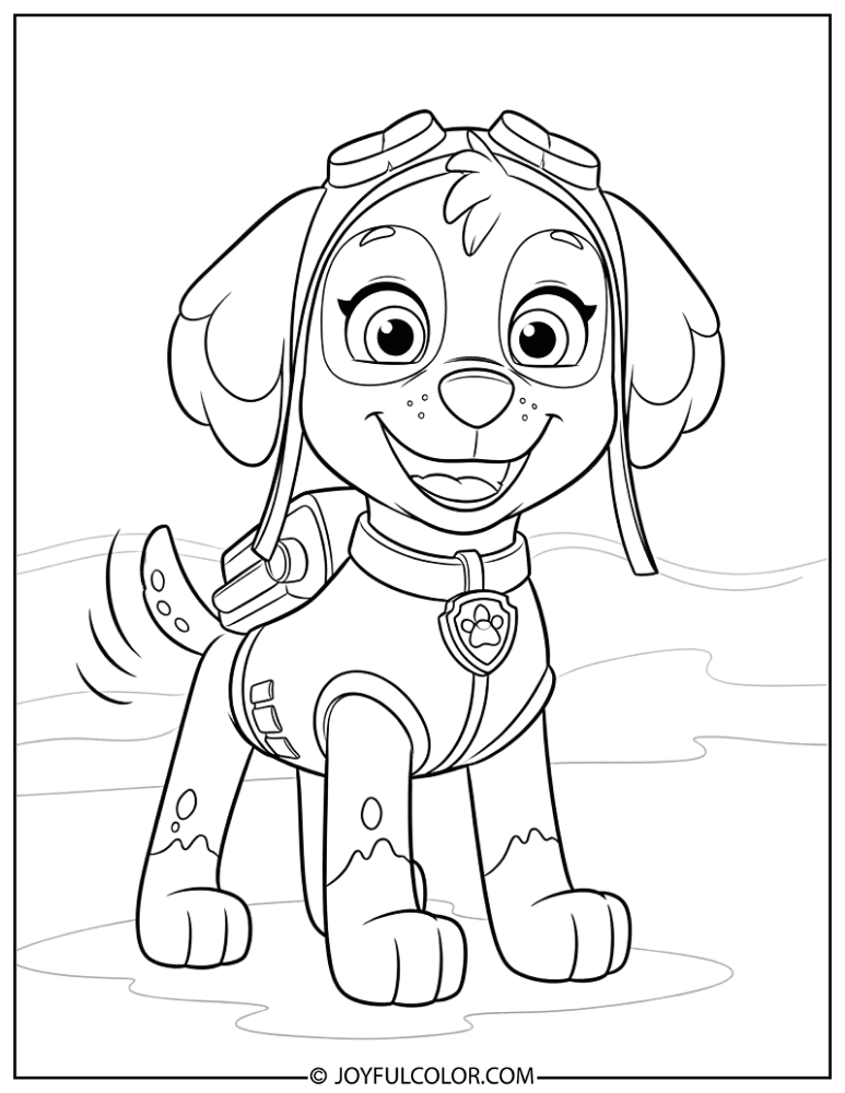 Happy Cartoon Zuma