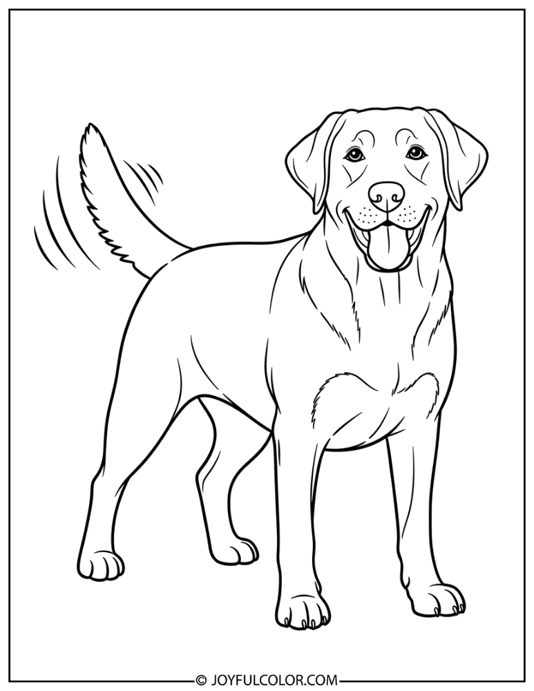 Happy Labrador Tail Wagging Coloring Page
