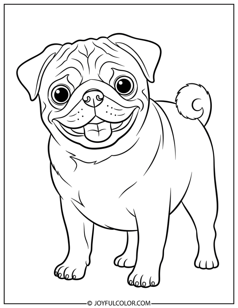 Happy Pug Pose Coloring Page