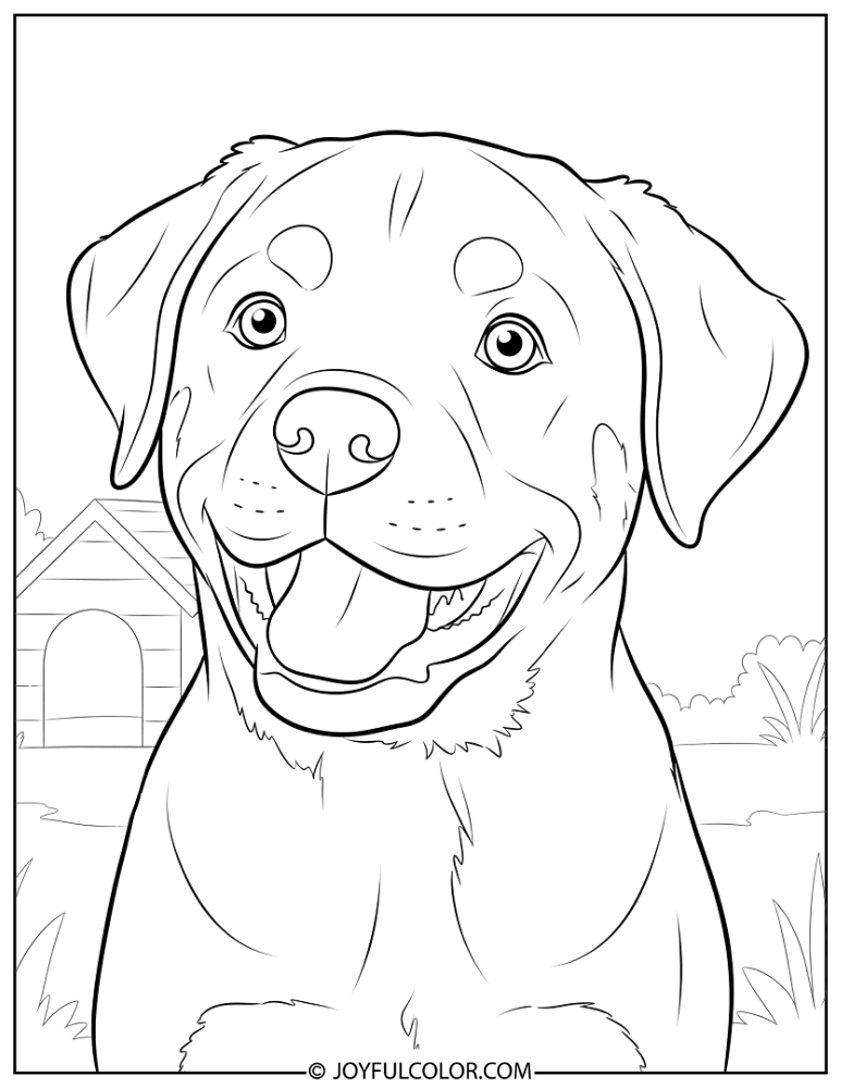 Happy Rottweiler Puppy Coloring Page