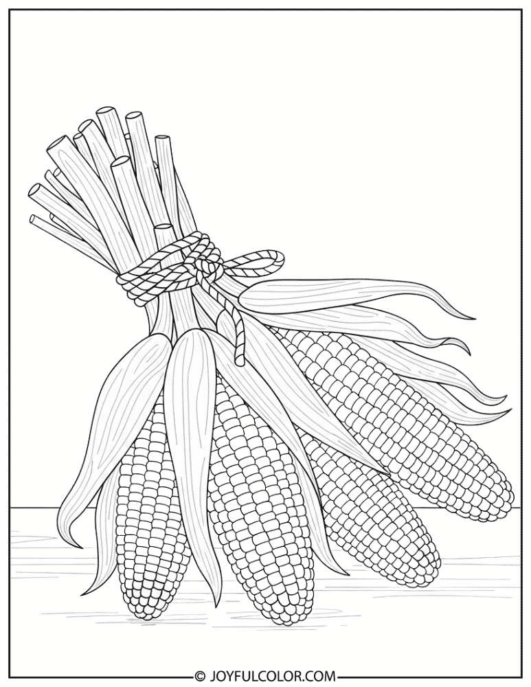 Harvest Indian Corn Bundle Coloring Page