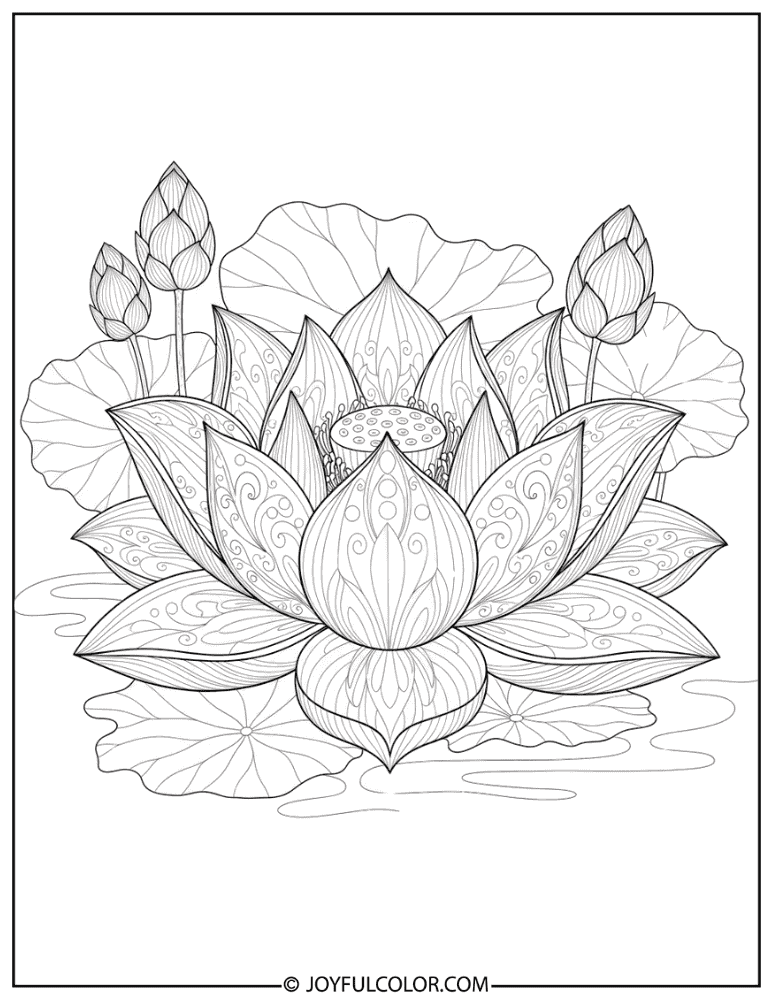 Highly Detailed Lotus Pattern Coloring Page