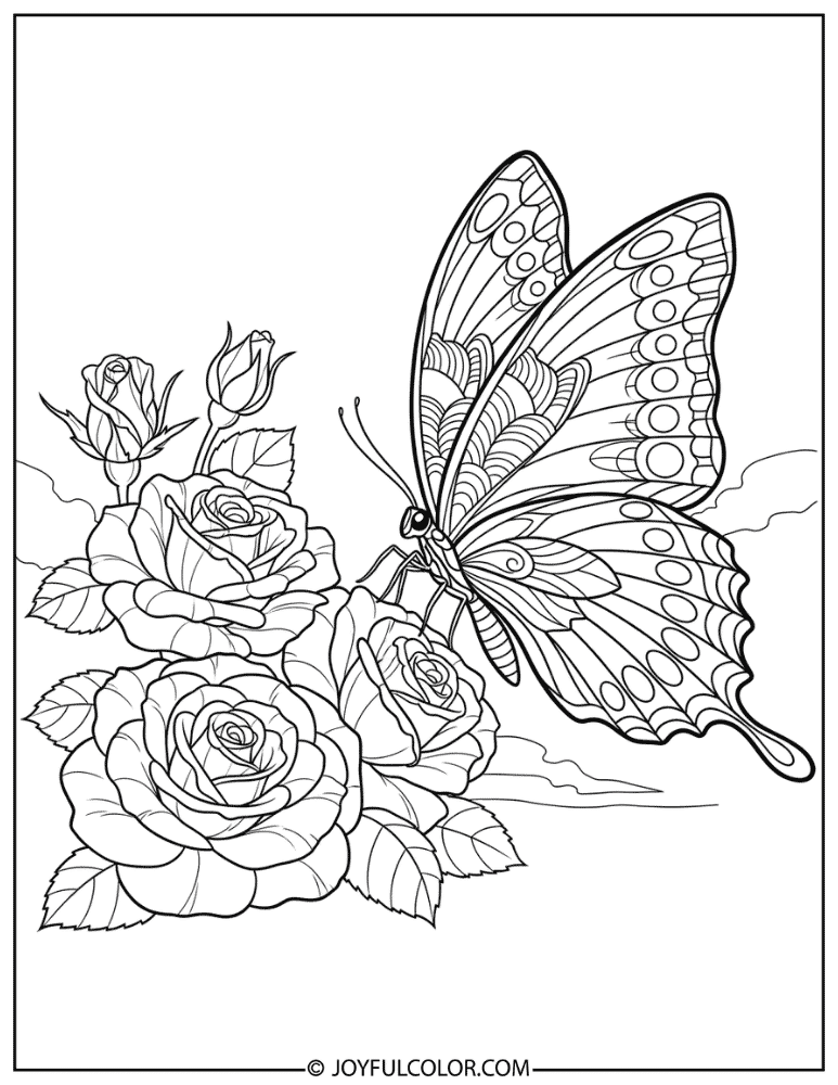 Hyper Detailed Butterfly and Roses Coloring Page