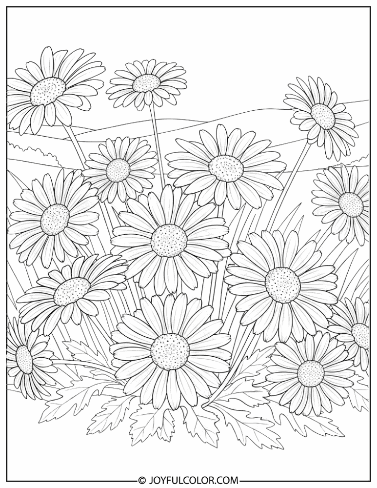 Hyper-Detailed Daisy Cluster Coloring Page