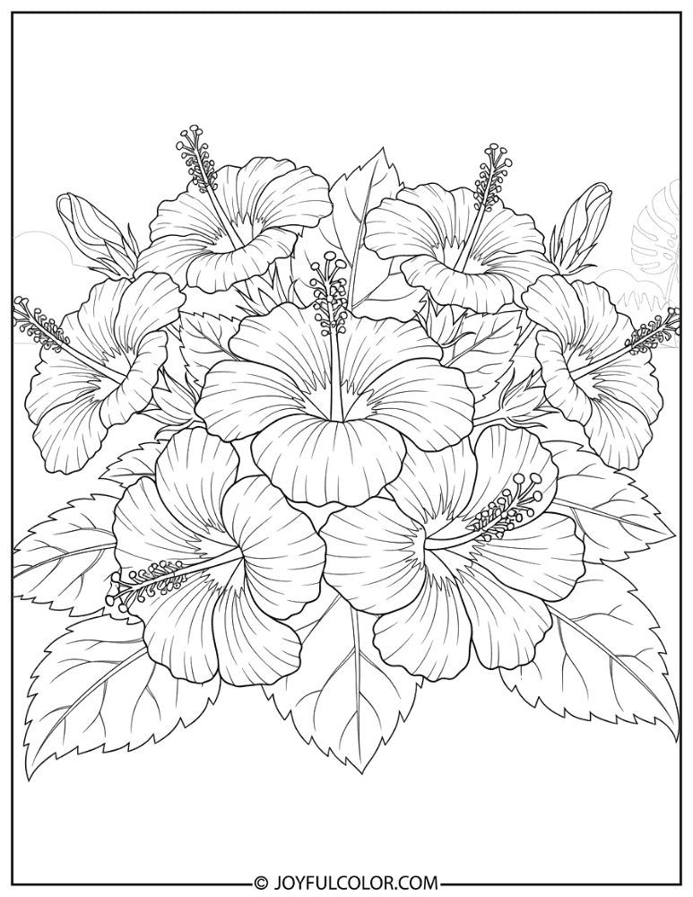 Hyper Detailed Hibiscus Cluster Coloring Page