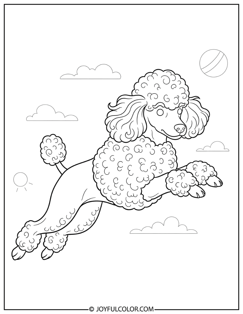 Jumping Poodle Coloring Page