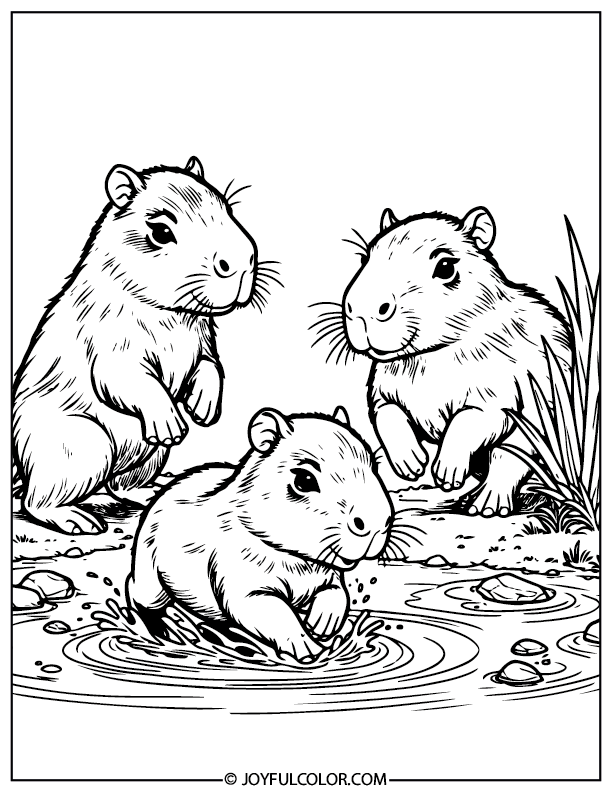 Kids Capybara Coloring Page