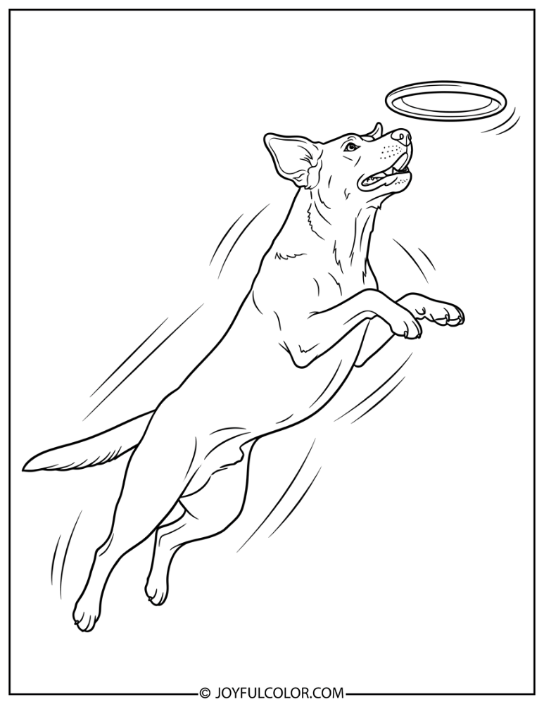 Lab Catching Frisbee Coloring Page