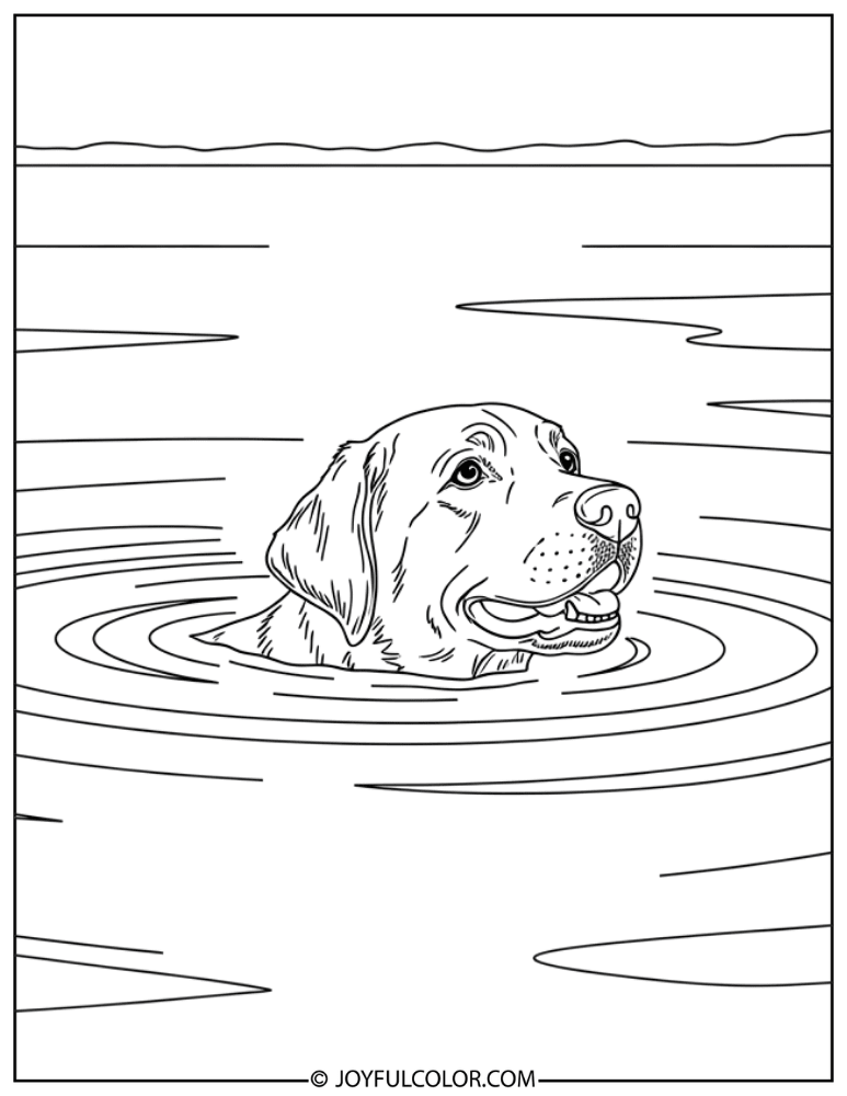 Lab Dog Swimming in Lake Coloring Page