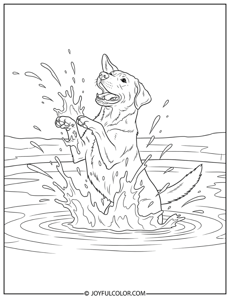 Lab Splashing in Pond Coloring Page
