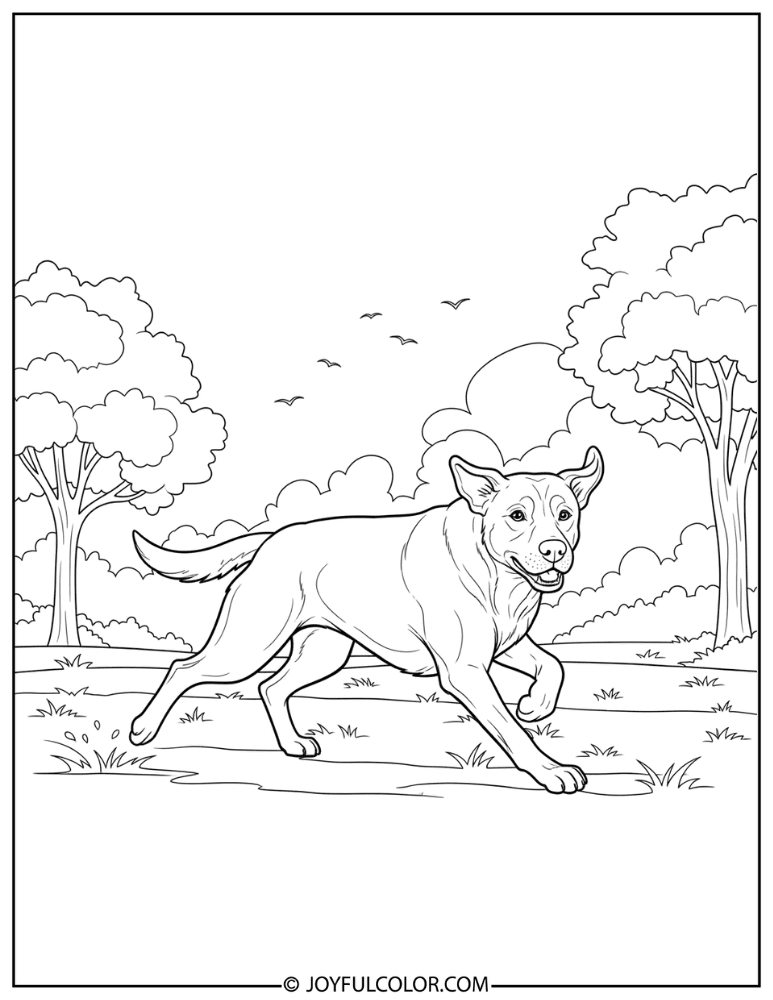 Labrador Running in Park Coloring Page