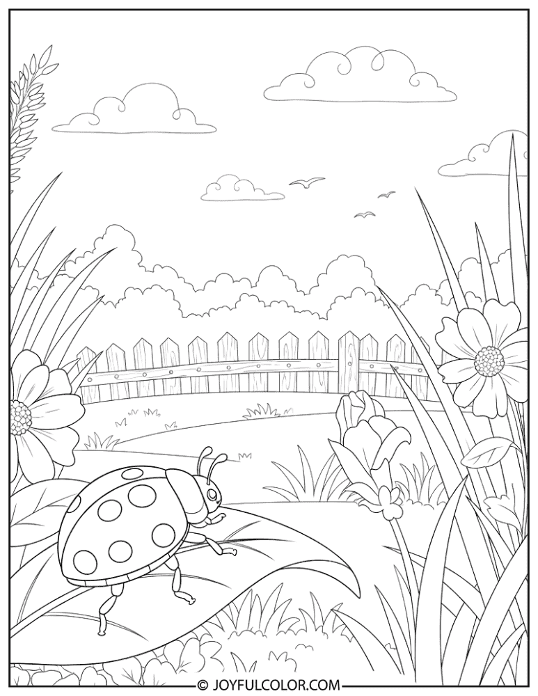 Ladybug on Leaf Coloring Page