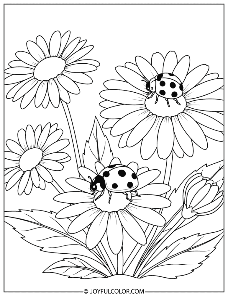 Ladybug on a Daisy Coloring Page