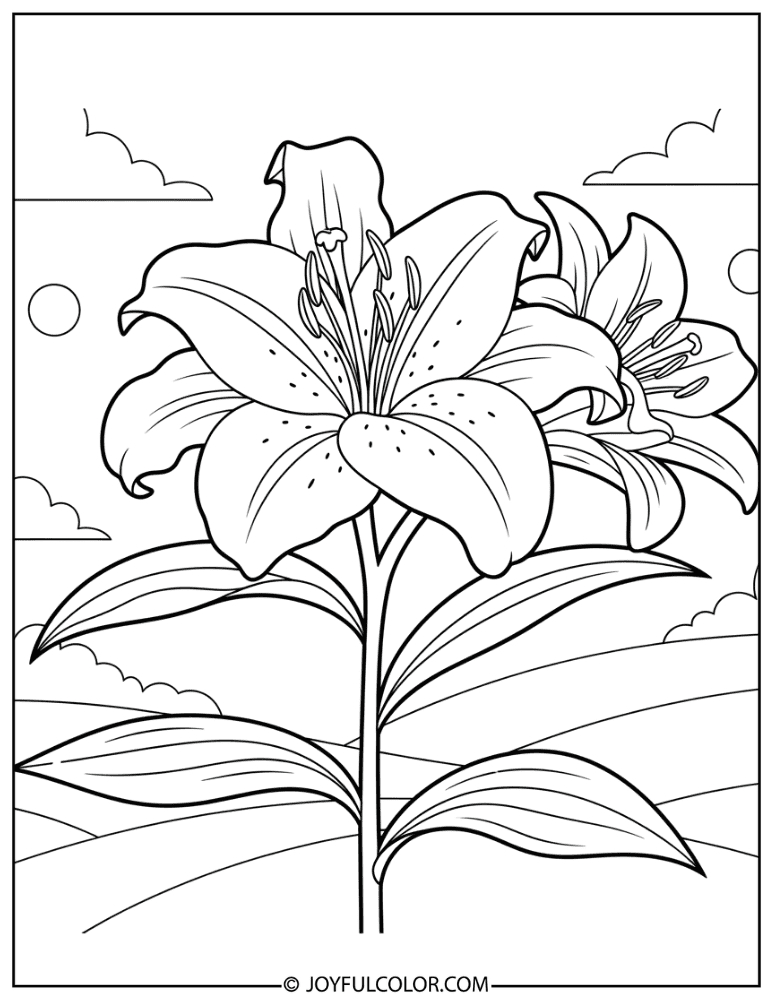 Large Lily for Kids Coloring Page