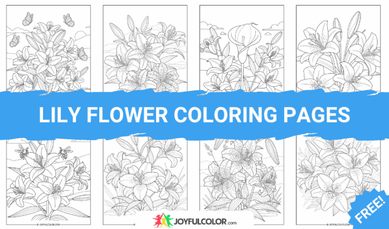 40+ Lily Flower Coloring Pages – FREE Printable Floral Sheets