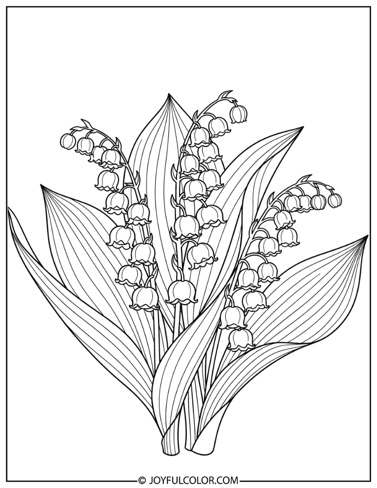 Lily of the Valley Spring Flower Coloring Page