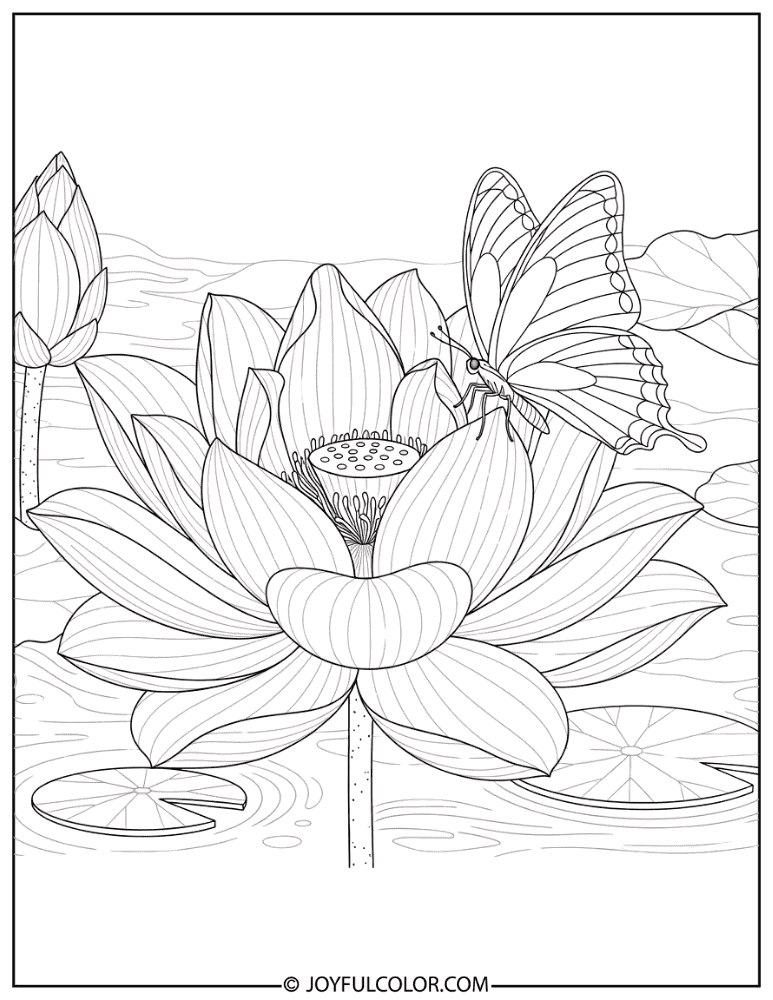 Lotus with Butterfly Coloring Page
