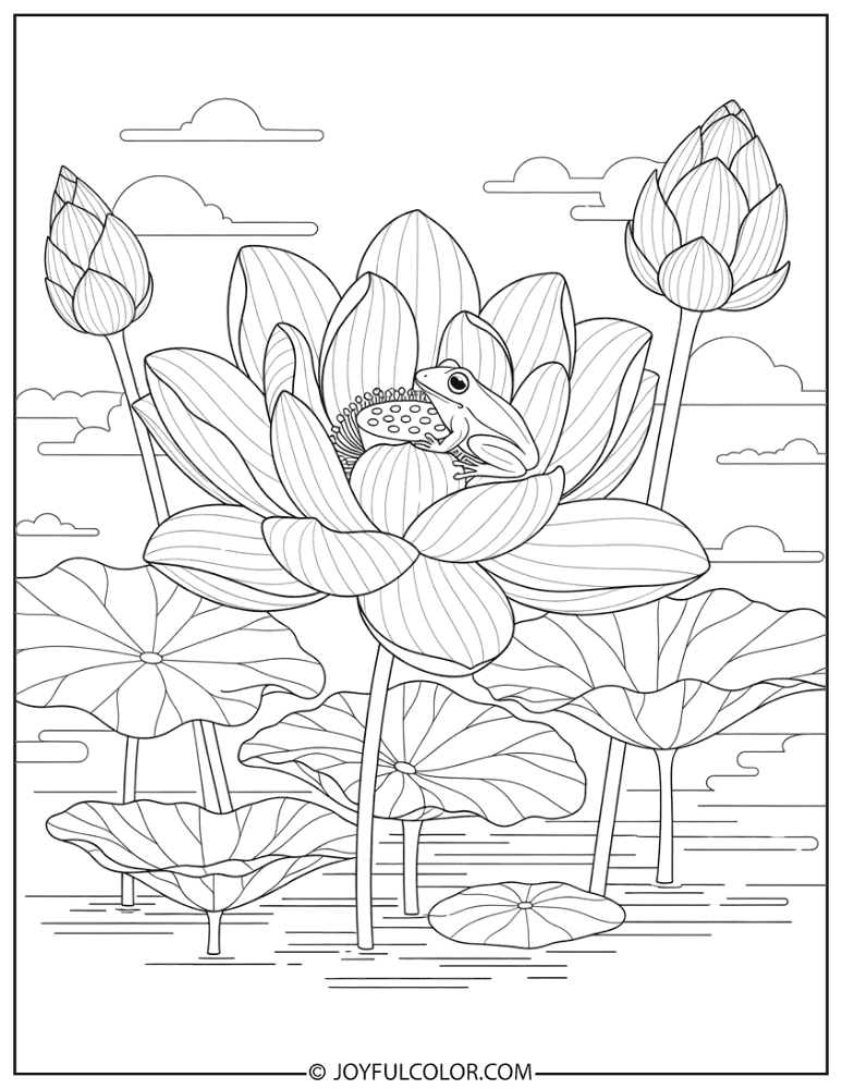 Lotus with Frog Coloring Page