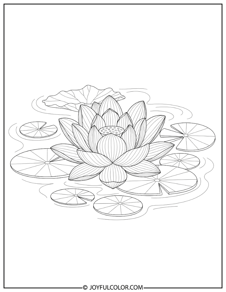 Lotus with Lily Pads Coloring Page