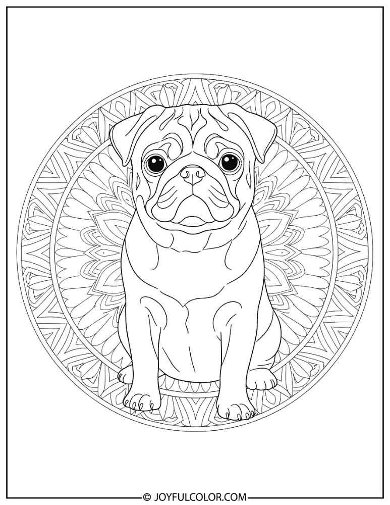 Mandala Pug Coloring Page