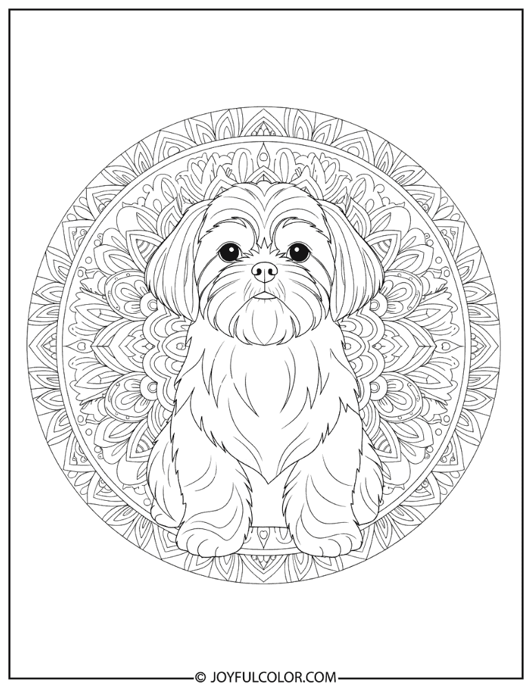 Mandala Shih Tzu Coloring Page