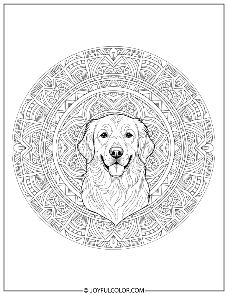 Mandala Style Retriever Coloring Page