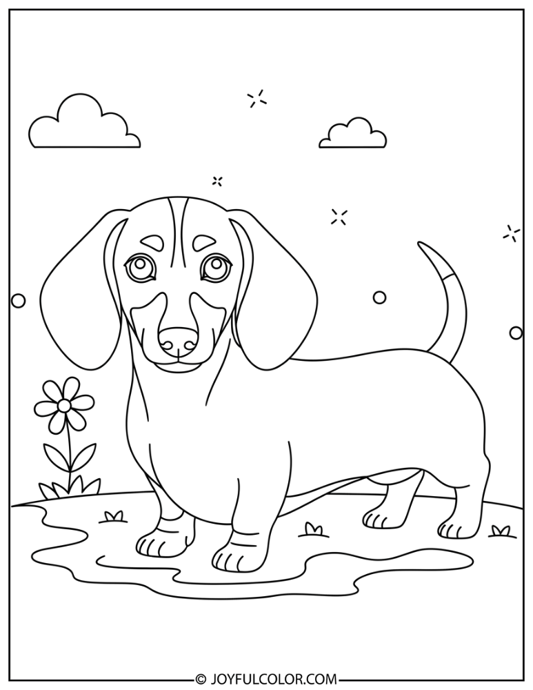 Minimal Detail Dachshund