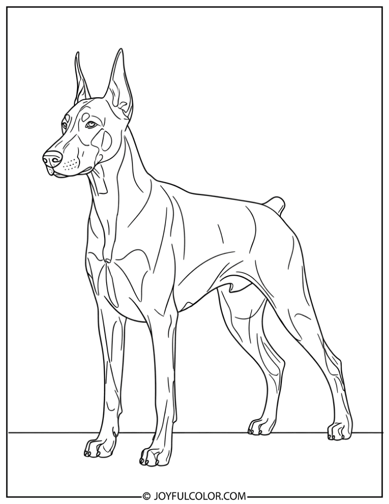 Minimal Detail Doberman Coloring Page