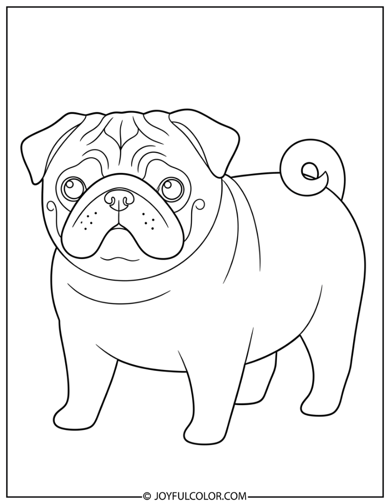 Minimal Detail Pug Coloring Page