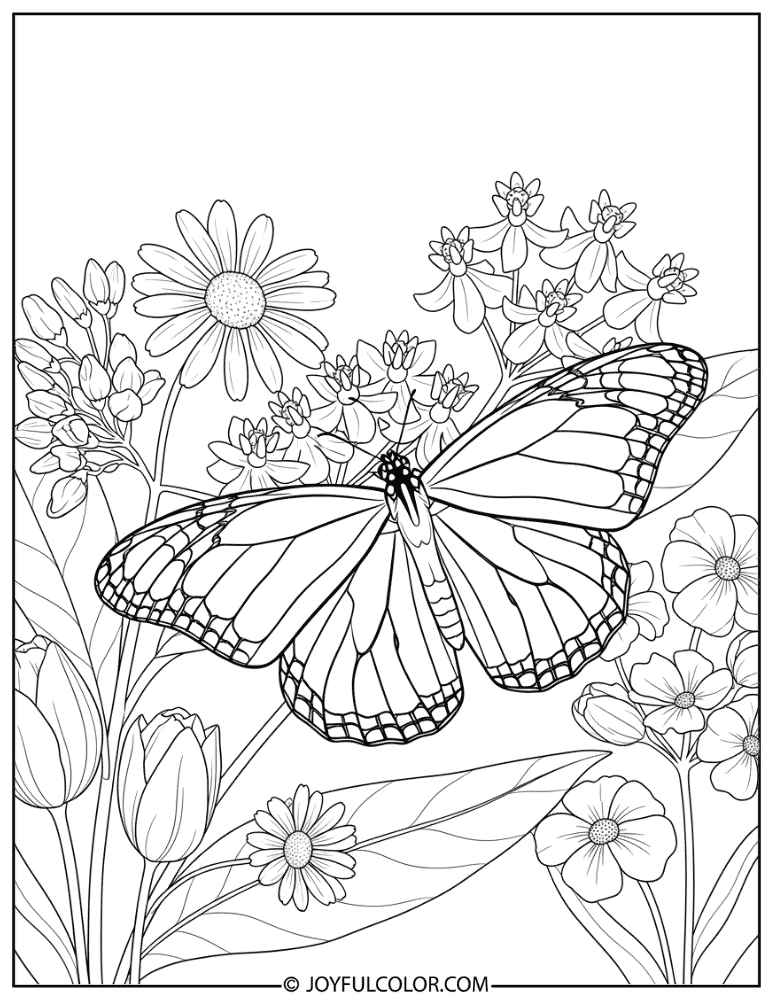 Monarch Butterfly on Milkweed Coloring Page