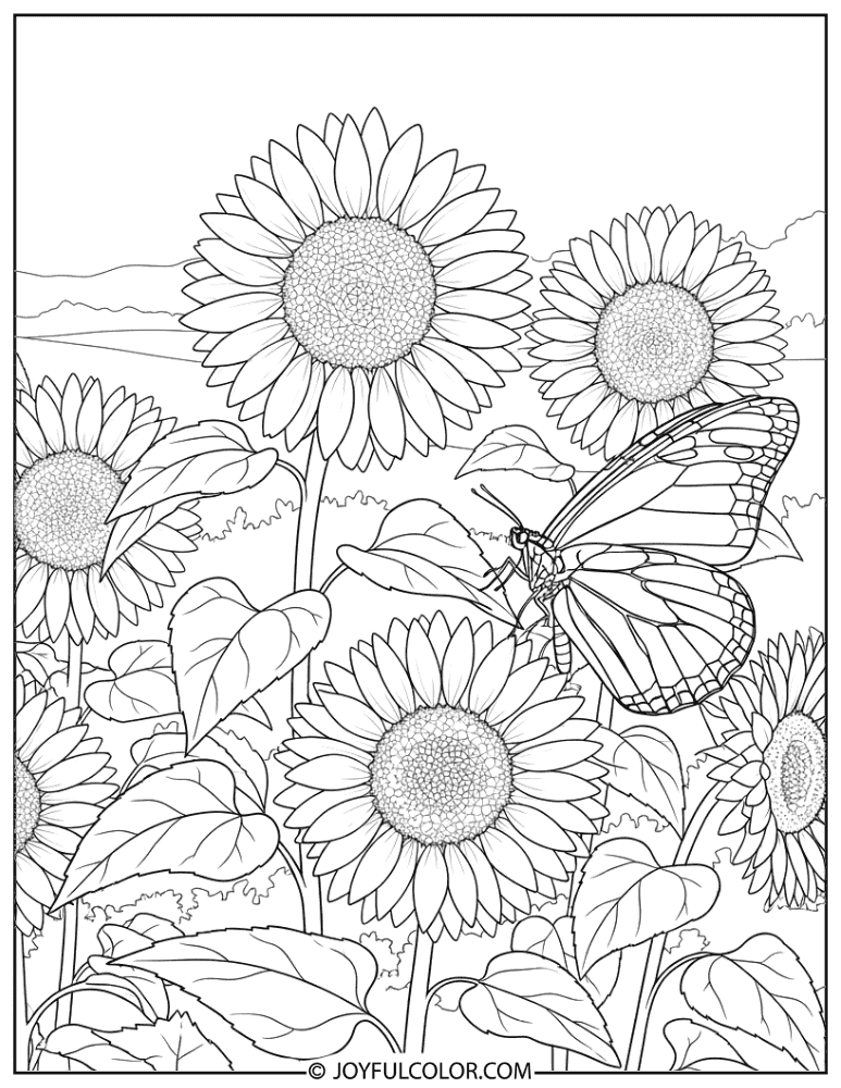 Monarch Butterfly with Sunflowers Coloring Page