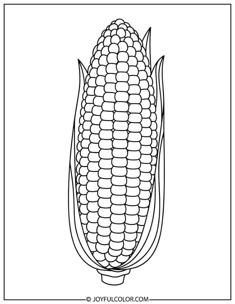 Multicolored Maize Cob Coloring Page