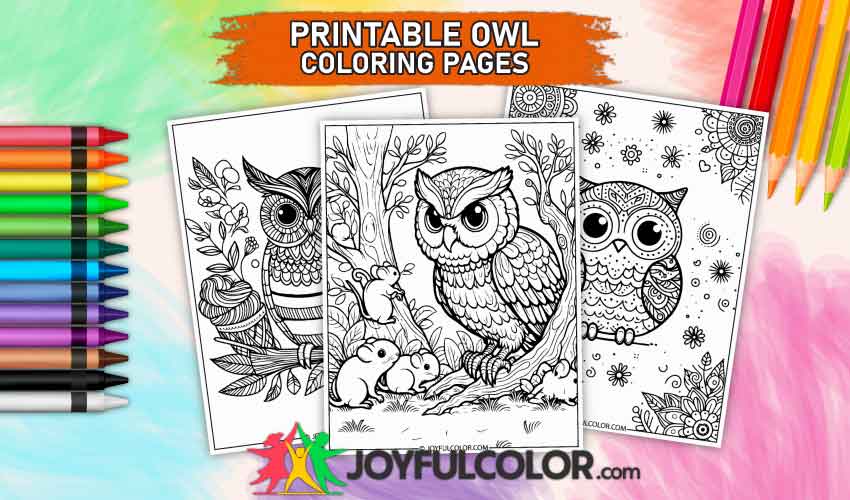 Owl Coloring Pages