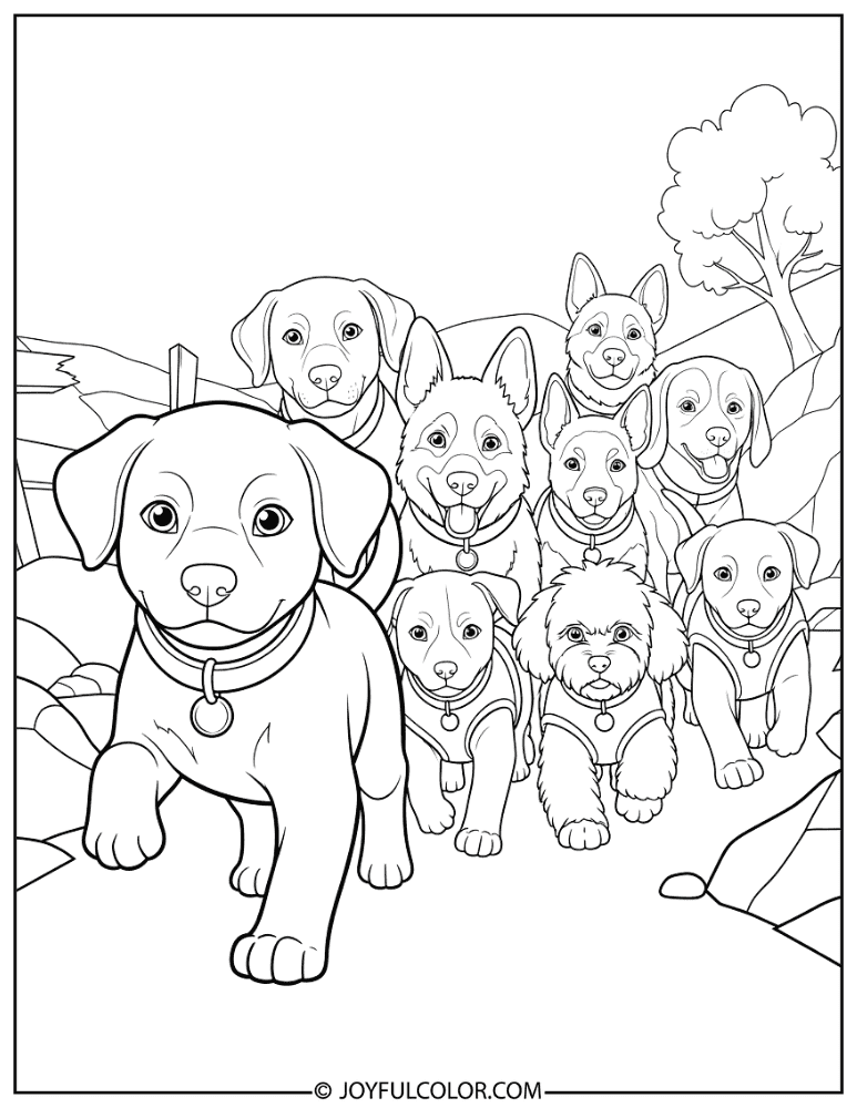 Paw Patrol Group Rescue with Chase Coloring Page