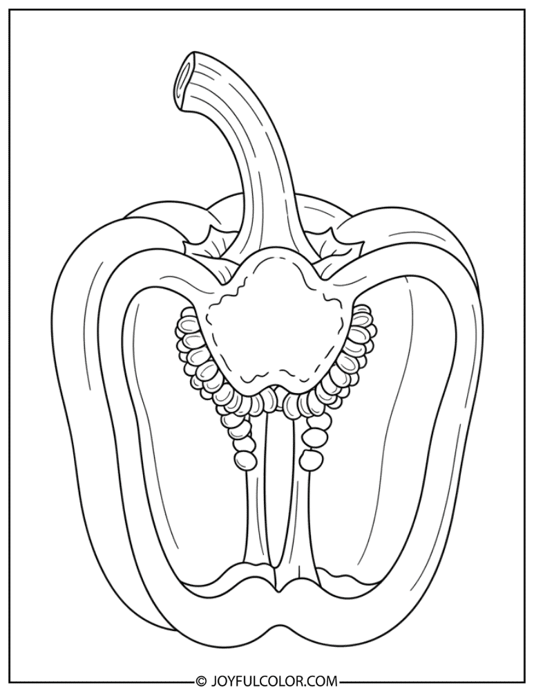 Pepper Anatomy Diagram Coloring Page