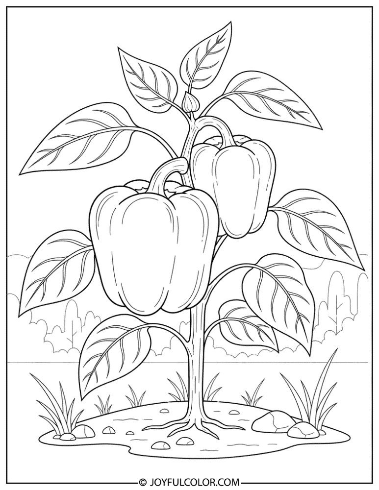 Pepper Plant in Garden Coloring Page