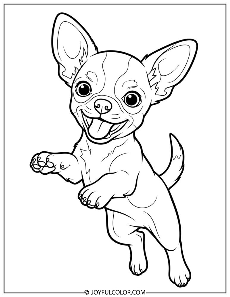 Playful Puppy Chihuahua Coloring Page